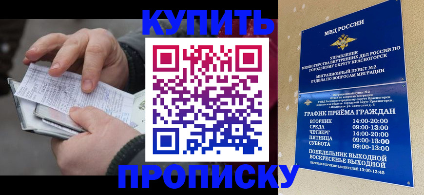 временная регистрация недорого в Полярных Зорях